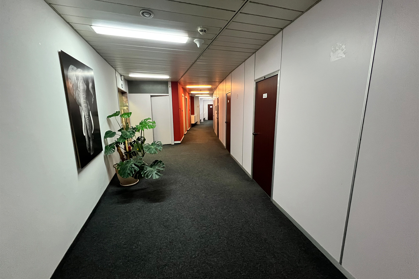 Poslovni prostor Zagrepčanka