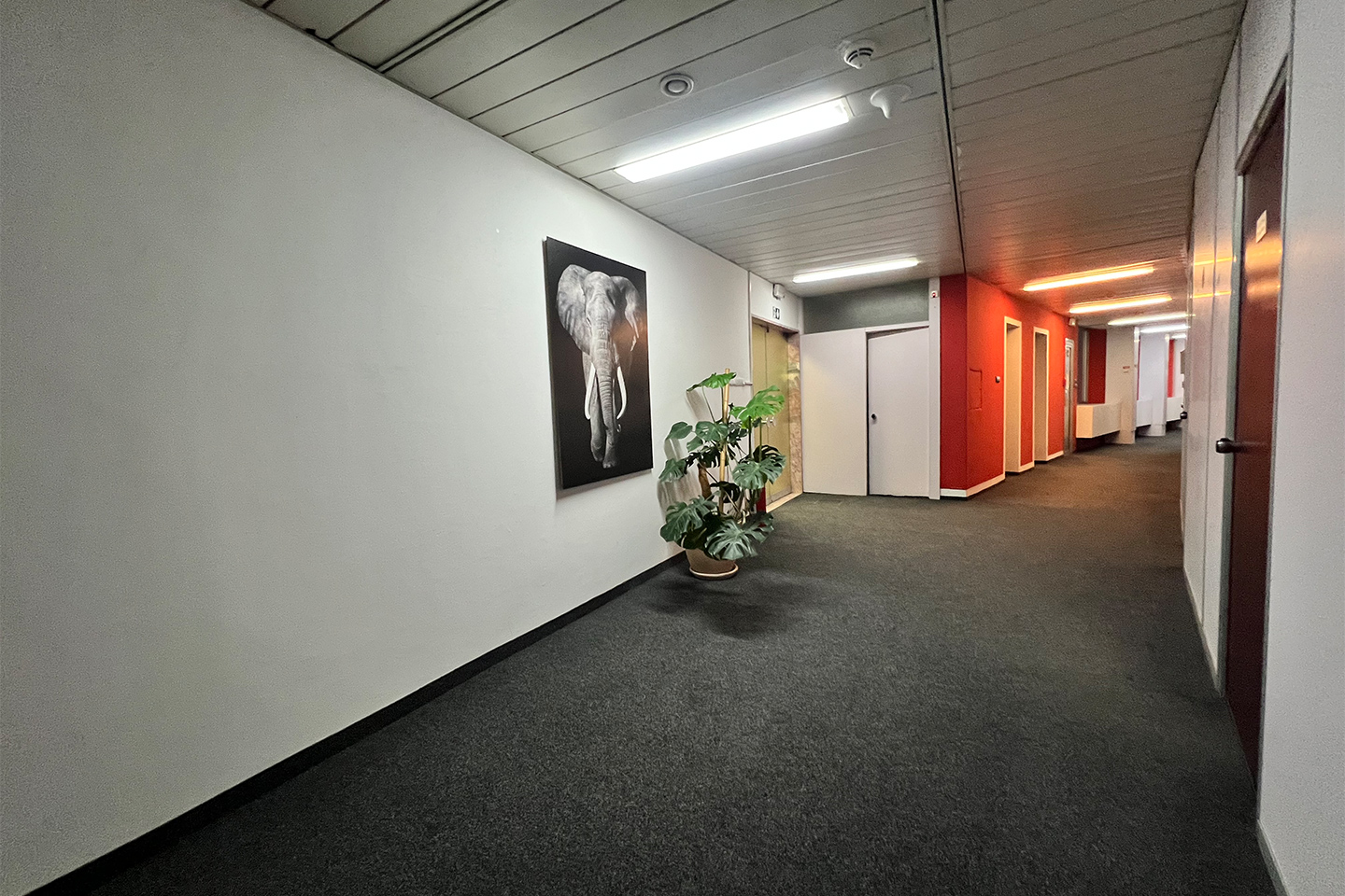 Poslovni prostor Zagrepčanka